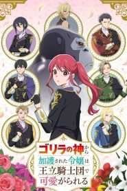 Gorilla no Kami kara Kago sareta Reijou wa Ouritsu Kishidan de Kawaigarareru Temporada 1