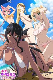 Chotto dake Ai ga Omoi Dark Elf ga Isekai kara Oikakete Kita Temporada 1
