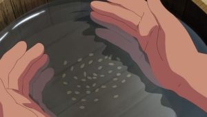 Tensui no Sakuna-hime 1 Episodio 3