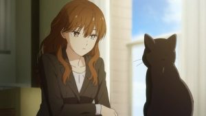 Koori Zokusei Danshi to Cool na Douryou Joshi 1 Episodio 1