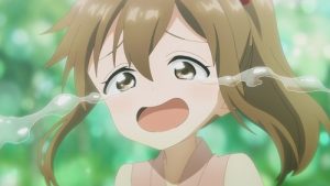 Kunoichi Tsubaki no Mune no Uchi 1 Episodio 12