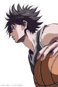 Ahiru no Sora Temporada 1