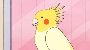 Gal to Kyouryuu 1 Episodio 10