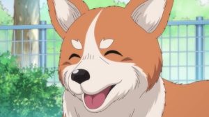 Oda Cinnamon Nobunaga 1 Episodio 12