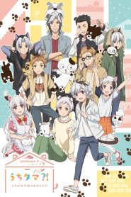 Uchi Tama?! Uchi no Tama Shirimasen ka? Temporada 1