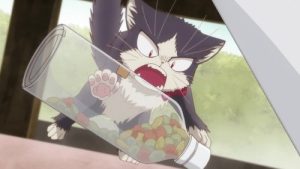 My Roommate is a Cat 1 Episodio 5