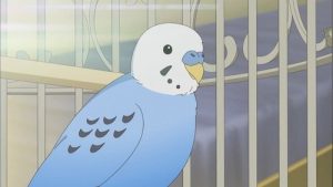 Chuubyou Gekihatsu Boy 1 Episodio 2