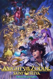 Os Cavaleiros do Zodíaco: Saint Seiya Temporada 3