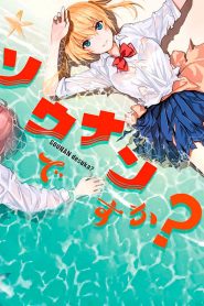 Sounan desu ka? Temporada 1