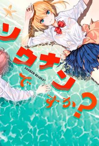 Sounan desu ka? Temporada 1
