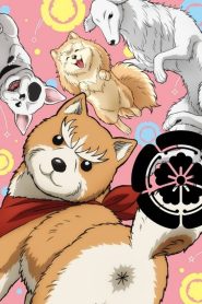 Oda Cinnamon Nobunaga Temporada 1
