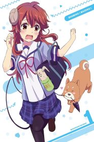 Machikado Mazoku Temporada 1