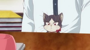 My Roommate is a Cat 1 Episodio 11