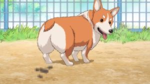 Oda Cinnamon Nobunaga 1 Episodio 5