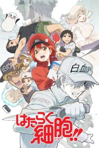 Hataraku Saibou Temporada 2