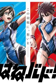 Hanebado! Temporada 1