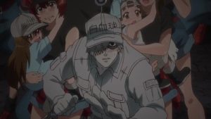 Hataraku Saibou 1 Episodio 11