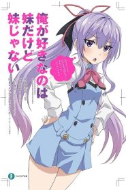 Ore ga Suki nano wa Imouto dakedo Imouto ja Nai Temporada 1