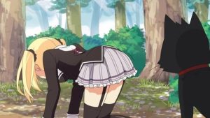 Nora to Oujo to Noraneko Heart 1 Episodio 2