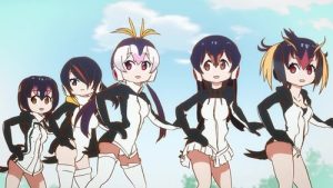 Kemono Friends 1 Episodio 8