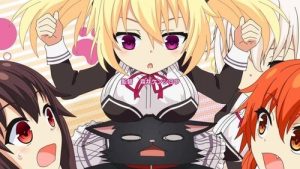 Nora to Oujo to Noraneko Heart 1 Episodio 11
