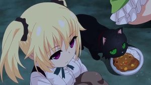Nora to Oujo to Noraneko Heart 1 Episodio 8