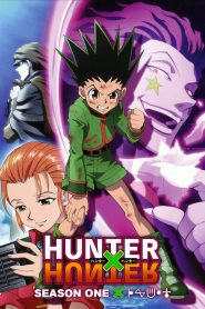 Hunter x Hunter (2011) Temporada 1