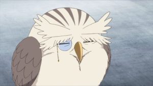 Youkai Apartment no Yuuga na Nichijou 1 Episodio 11