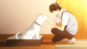 Sangatsu no Lion 2 Episodio 22