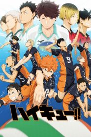 Haikyuu!! Temporada 1