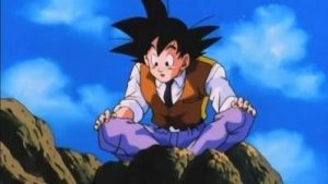 Dragon Ball Z 1 Episodio 289