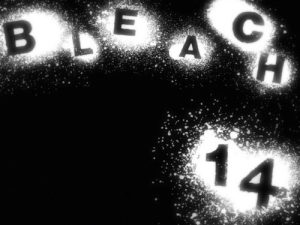 Bleach 1 Episodio 14