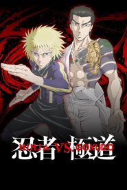 Ninja vs. Gokudo Temporada 1
