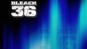Bleach 1 Episodio 36